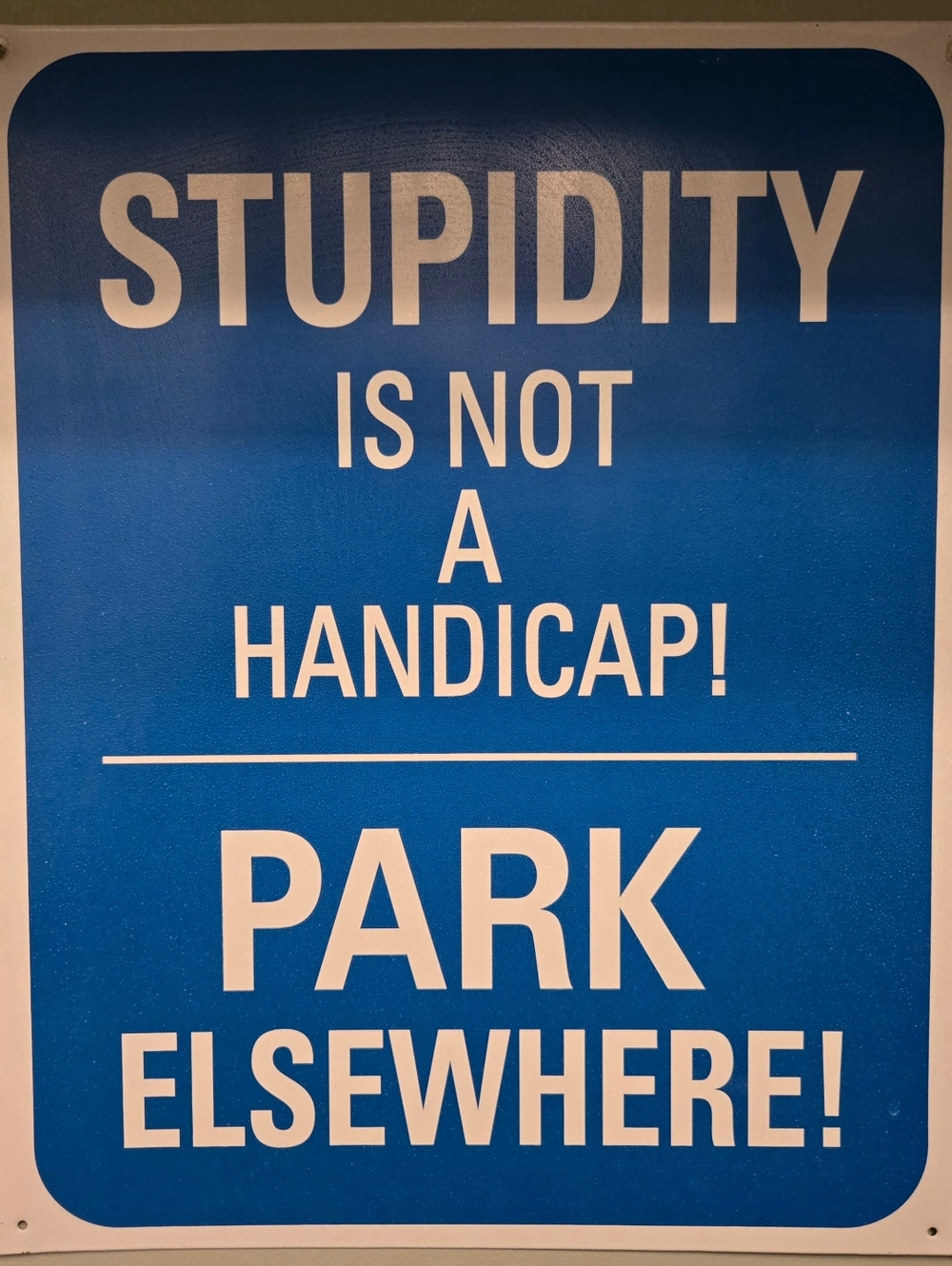 Funny Blue Parking Sign - 'Stupidity Is Not A Handicap'
